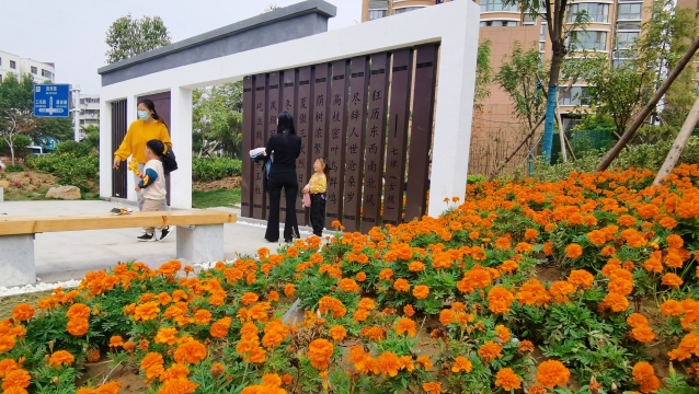 家门口的绿色风景线