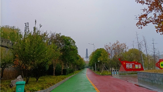 初冬的第一场雪如约而至