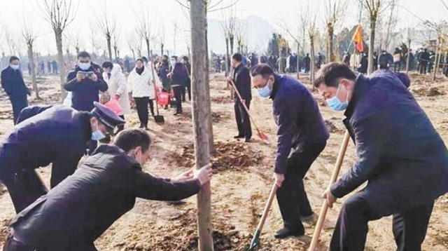 义务植树 添绿周口