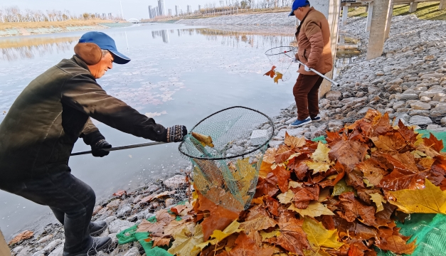 冬季枯叶纷纷 落环卫工人打扫忙