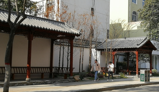 微景观点亮城市角落