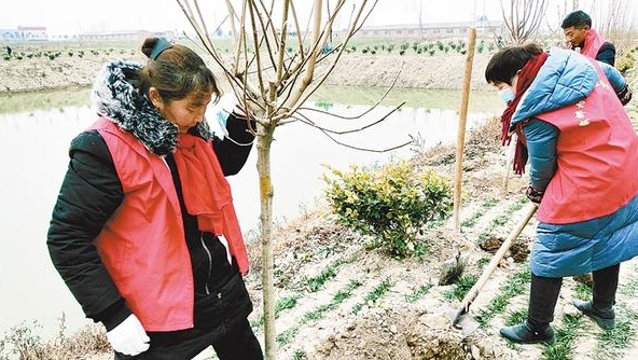 乡村打造百亩旅游点