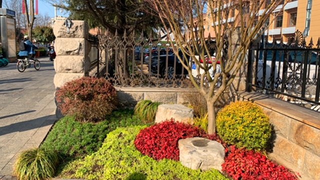 周口：口袋公园