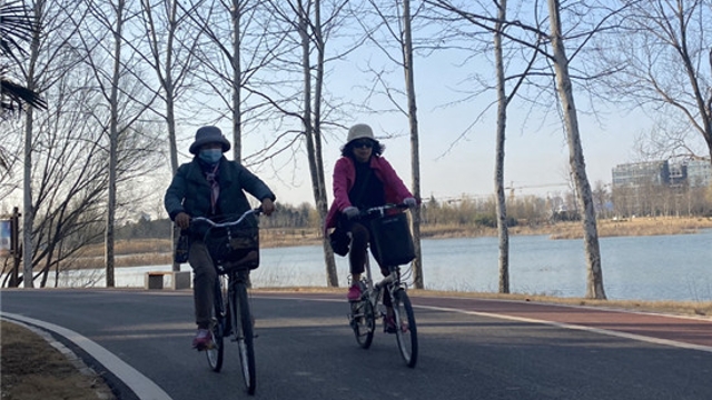 植物园里迎春来