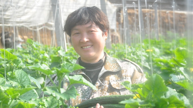 本地菜抑制菜价