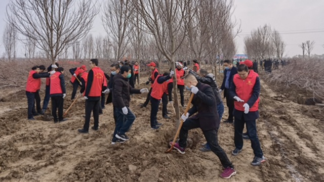 栽下树苗，留下新绿