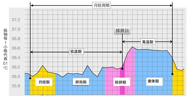 7b1c19cd-850a-48aa-bb89-5b0bf702abf5.jpg