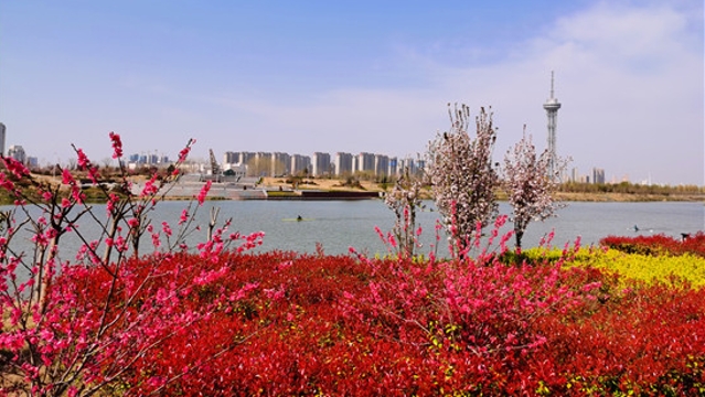 沙颍河春色美景入画来