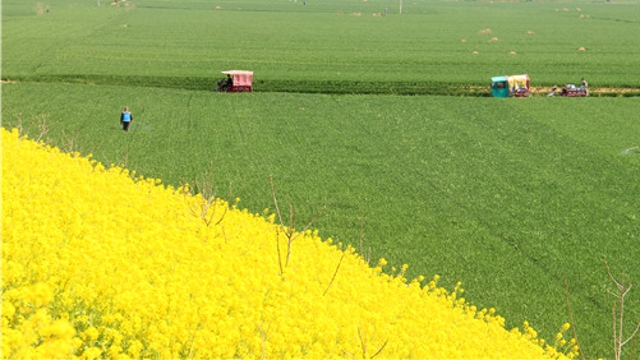 伴着花香忙农事