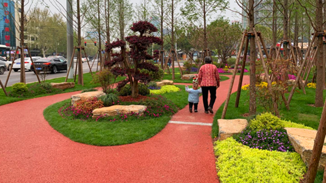 南花园：街头小游园 周口市民后花园