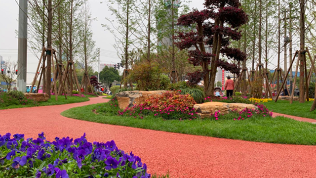 周口：街头“小游园” 幸福“大民生”