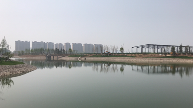 河岸绿了 生态美了