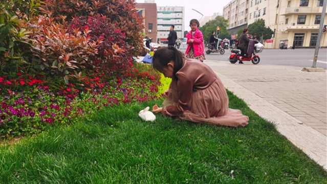街头小公园提升市民幸福感