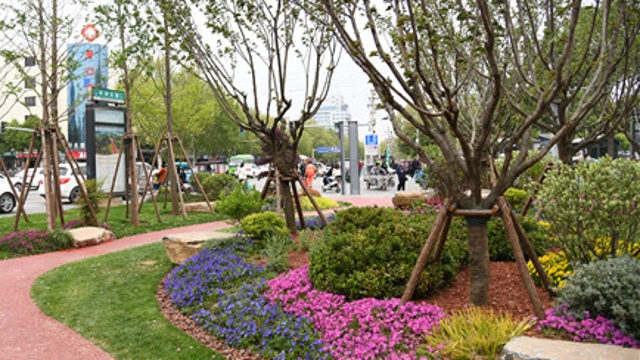 华丽蜕变的南花园