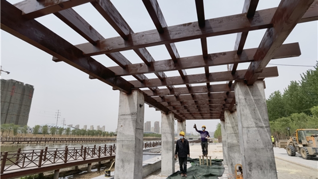 洼冲沟改造工程植物园段景观初现