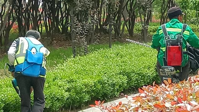 谷雨前后管护忙