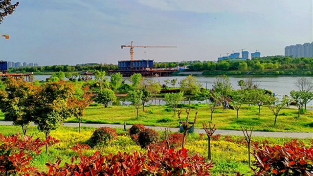 周口：沙颍河湿地公园春意浓