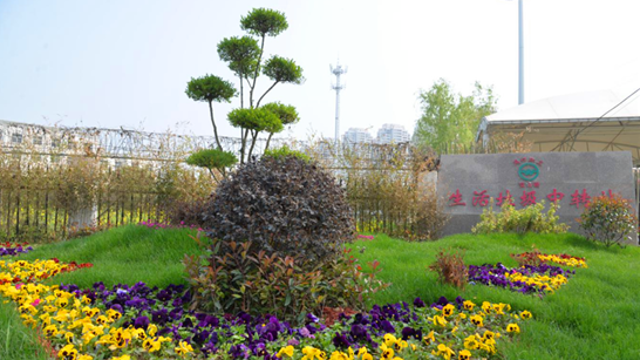 垃圾中转站穿上“花衣裳” 绿化美化提升宜居品位