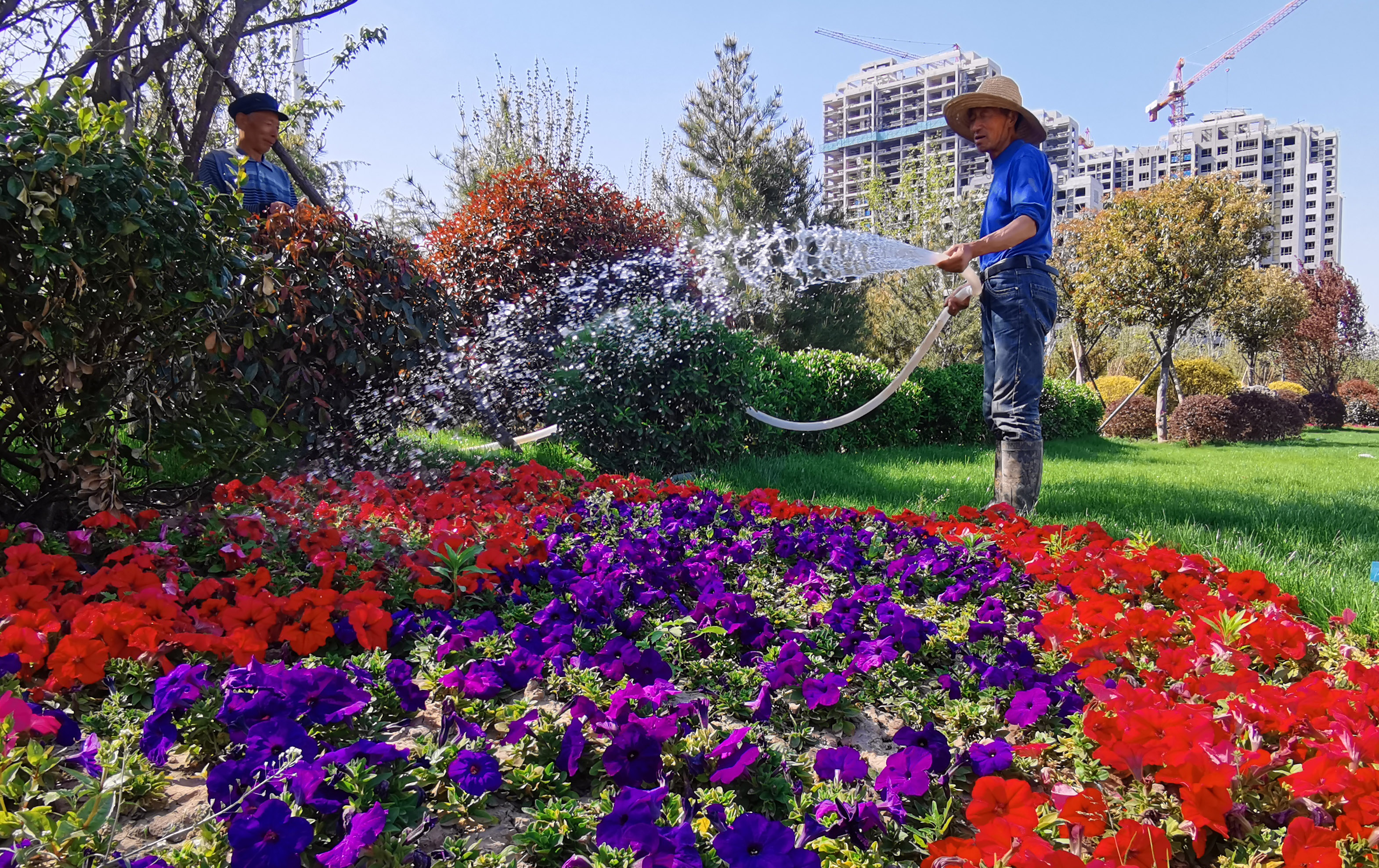 美丽城市的维护者