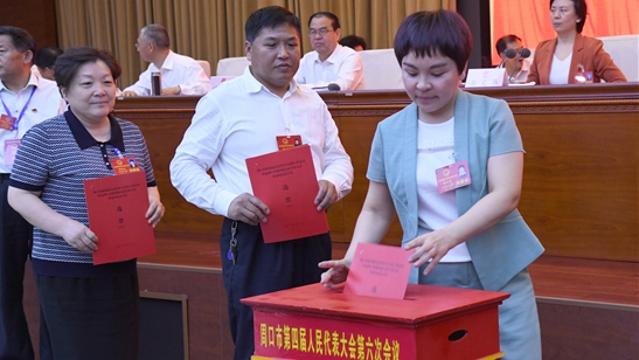 人大代表投票选举