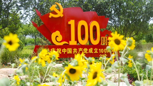 魅力花韵周口 庆祝中国共产党成立百年