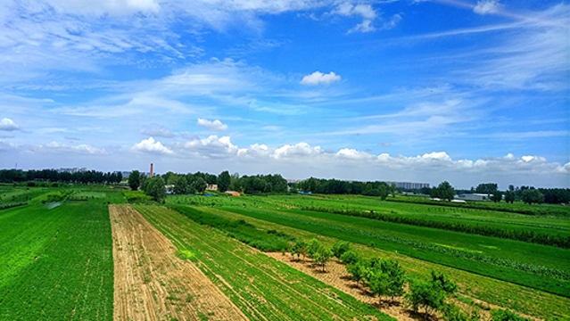 周口：天蓝地绿云悠远
