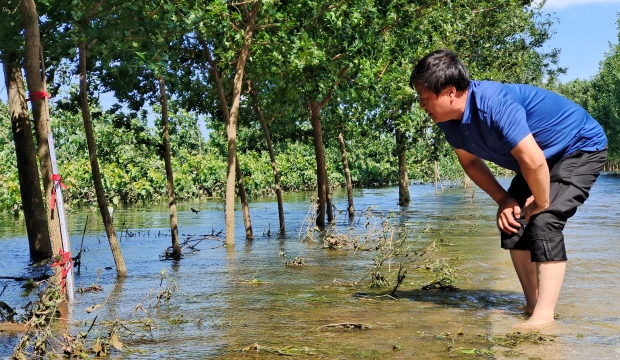 “八大工程”显神威  贾鲁河西华段水位明显下降