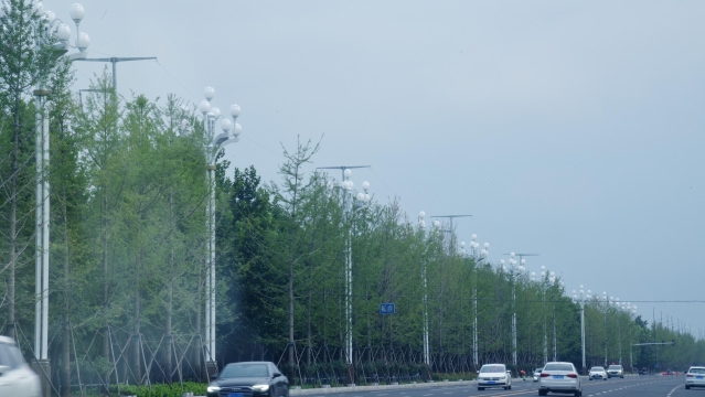 周口大道北段装上芙蓉中华灯