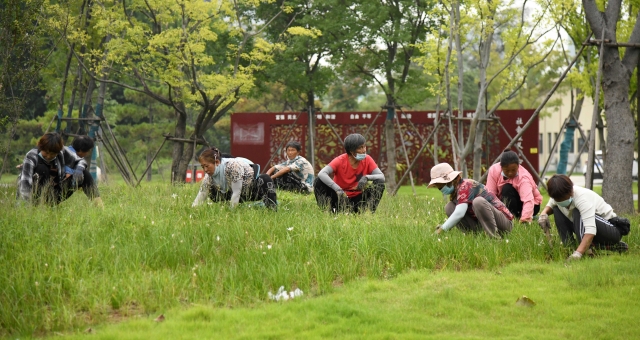 植物园内工人除草忙