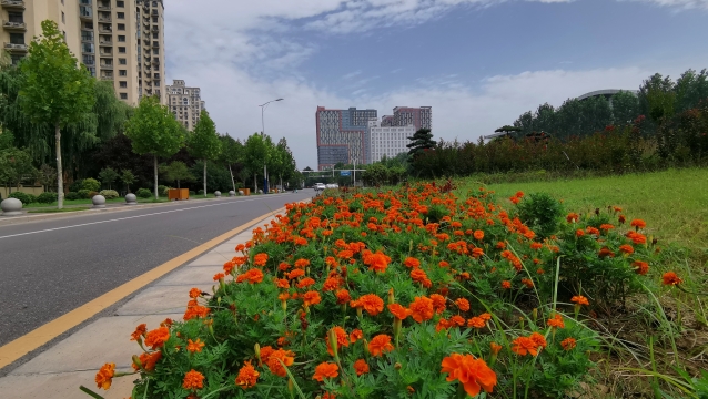 周口城区雨过天晴显美景