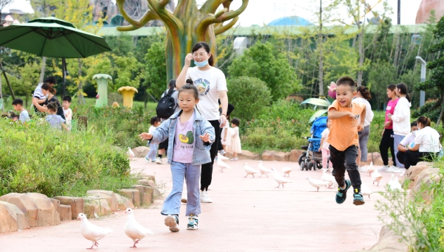 近期周口森林野生动物园恢复开放