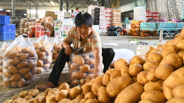 中秋节我市“蔬菜篮子”充足
