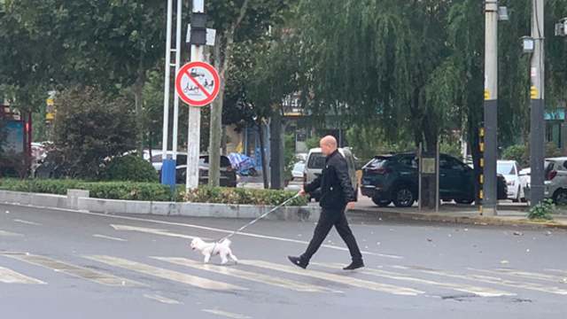 【文明周口 美美与共】遛狗牵着绳 安全又文明