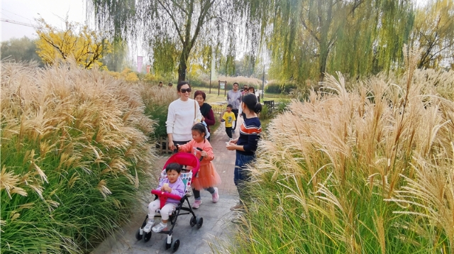 秋高气爽 市民户外休闲