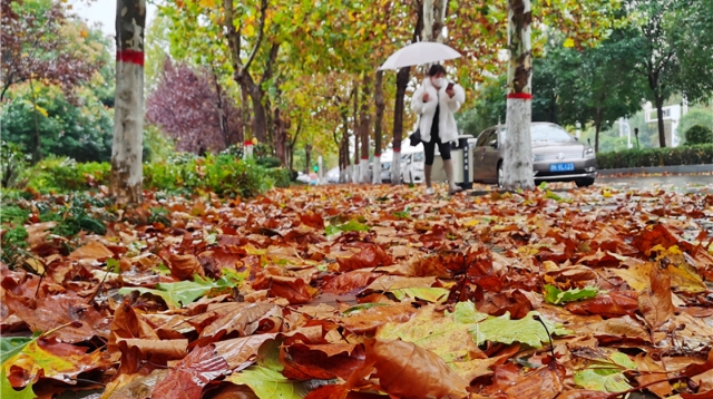 风雨让周口一夜入冬