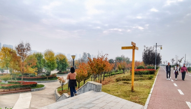 初冬的周口五彩缤纷