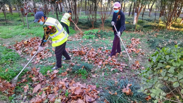 风起落叶多 环卫工人忙