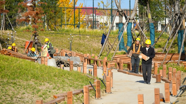 沙颍河改造二期北岸工程抓紧施工