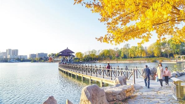 冬日暖阳湛蓝天