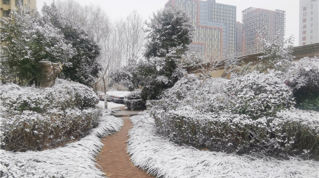 今春第一场雪如约而至