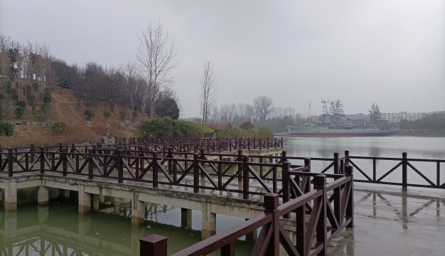 周口：春雪飞花别样美