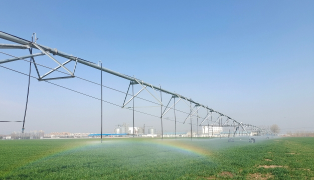 大型电动平移式喷灌机：节水灌溉更高效
