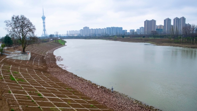 沙颍河中原路大桥段观光带：春雨润无声 风景渐成型