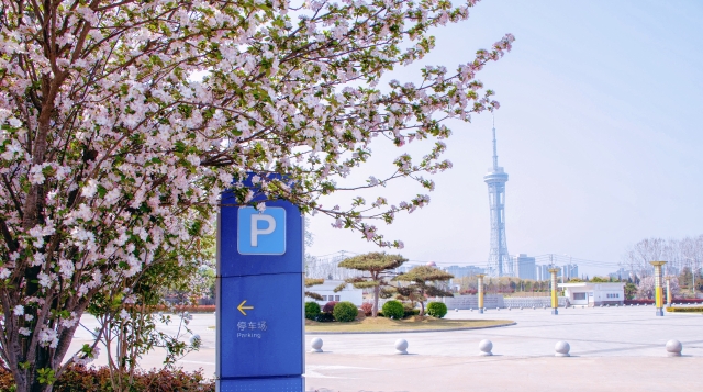 跟随春天的脚步