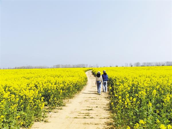 清明踏青赏春光