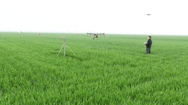 麦浪漾起丰收的希望