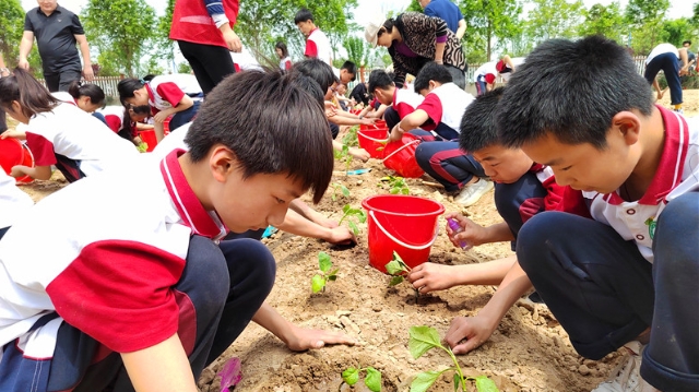 劳动课搬到“农场”里