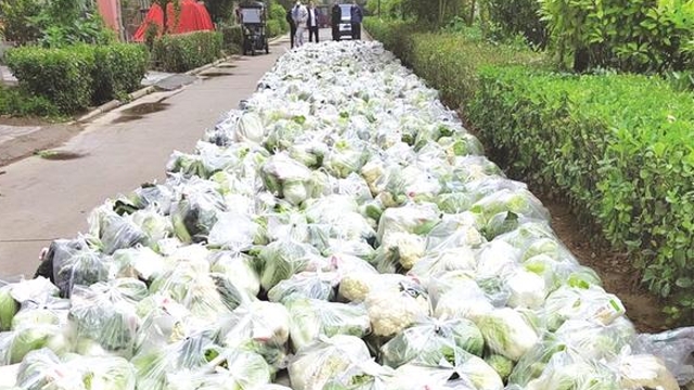 物业送蔬菜 给个赞