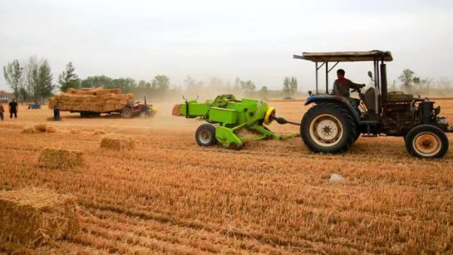 周口：夏管夏收时节忙