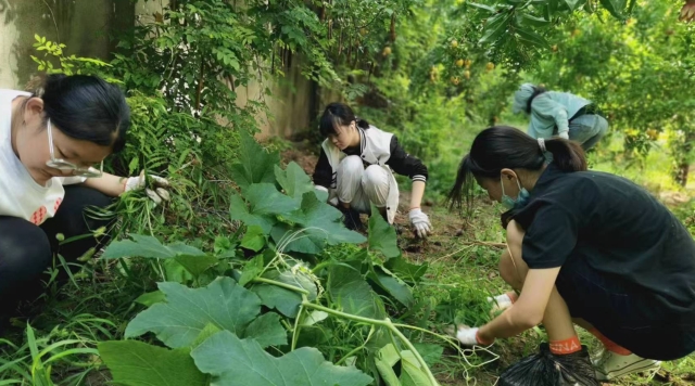 学生暑假劳动实践忙